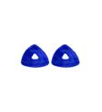 Dyson R2 Nurovi Reuleaux Triangle Pads