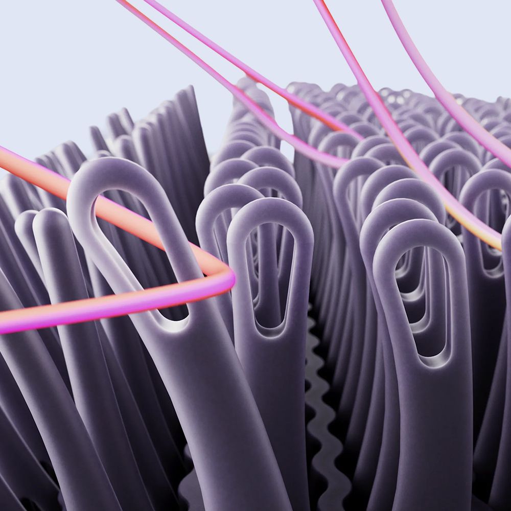 Dyson Airsmooth Teardrop brush design